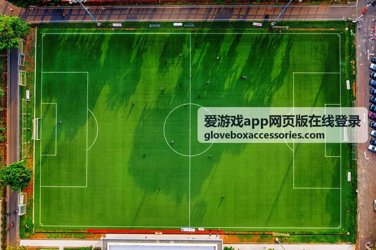 爱游戏app网页版在线登录会员权益对比页配图
